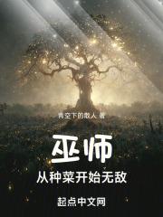 巫师种田