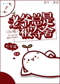 老爷txt