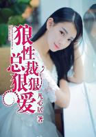 狼性总裁又坏又猛