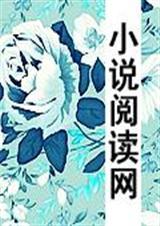 穿越之倾城男妃