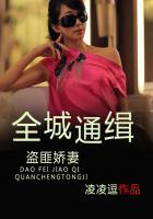 全城通缉免费