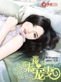 七夜婚宠免费阅读