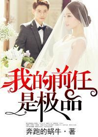 我的前任是极品导演