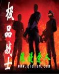极品士兵剧情介绍