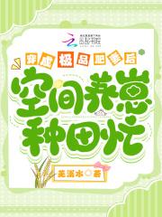 穿成极品婆