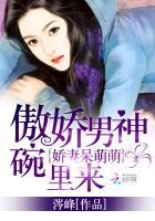 傲娇男神撩妻忙