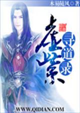 九霄寻道录