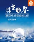 珠光宝鉴书评