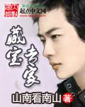 藏宝专家简介