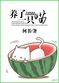 养了一只喵 在线阅读