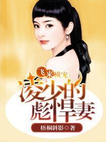 飞来横犬全文阅读