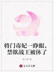 重生将门毒妃