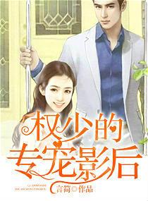 权少专爱