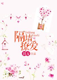 隔墙之爱没打**完整版