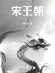 电视剧大宋王朝