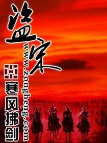 盗宋(合作) 寒风拂剑txt