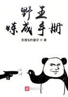 野王炼成手册好不好看