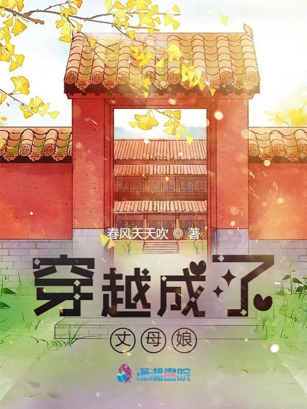 穿越成女婿