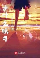木叶之贼手5200