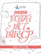 顶流夫妇晋江
