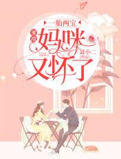 一胎两宝爹地妈咪又怀了宋暖
