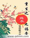 重生之九福晋日常