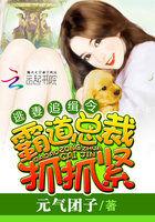 霸道总裁追逃妻 免费