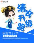 清穿升级路全文阅读