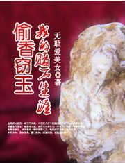 偷香窃玉我的赌石生涯完整版