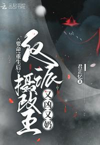 重生后摄政王一直被打脸