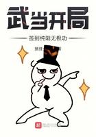 武当开局签到纯阳无极功TXT