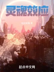 灵魂效应什么意思