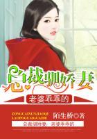 总裁强势宠老婆乖一点