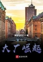 重生之大亨崛起