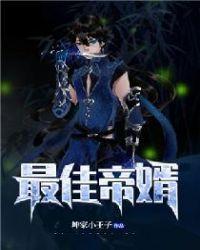 最佳赘婿第一狂婿