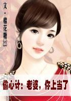 老婆专治偷心