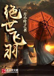 绝世飞刀全本免费