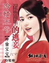 神偷王妃王爷惹不起