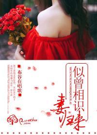 似曾相识出自哪句诗句