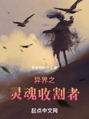 万界之灵魂收割者
