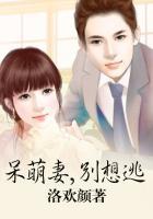 呆萌小妻休想逃免费阅读全文