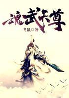 魂武神尊