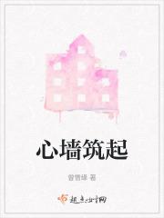 心墙意思