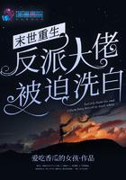末世重生反派大佬被迫洗白男主有初恋吗
