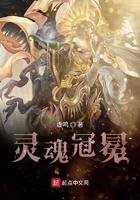 灵魂冠冕讲了个啥故事