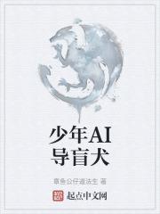 播放导盲犬少年的天空