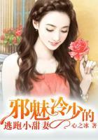 邪魅冷少的替身妻全文免费阅读