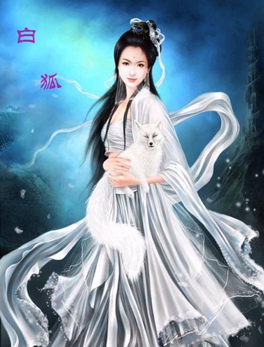 综白狐之子