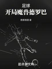 足球运动员魔兽德罗巴