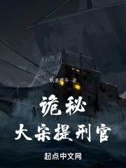 大宋提刑官电视剧